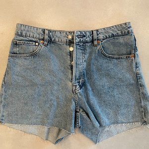 Vintage High Shorts